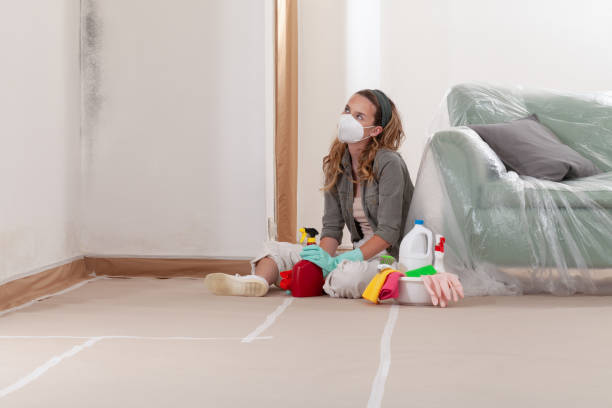 Reliable Basement Mold Remediation contractor in Cedar Knolls, NJ by 24 Hour Mold Removal